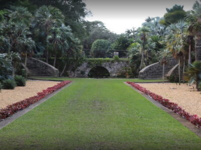 Tropical Miami Paradise Botanical Beauty