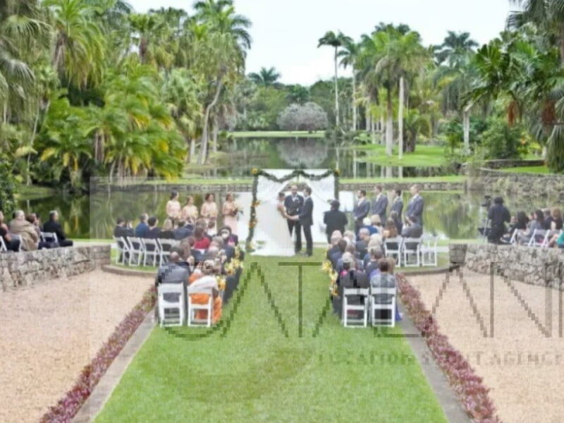 Tropical Miami Paradise Botanical Beauty