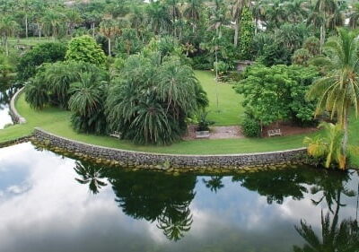 Tropical Miami Paradise Botanical Beauty