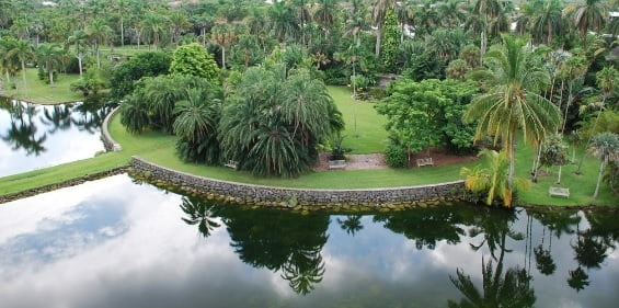 Tropical Miami Paradise Botanical Beauty