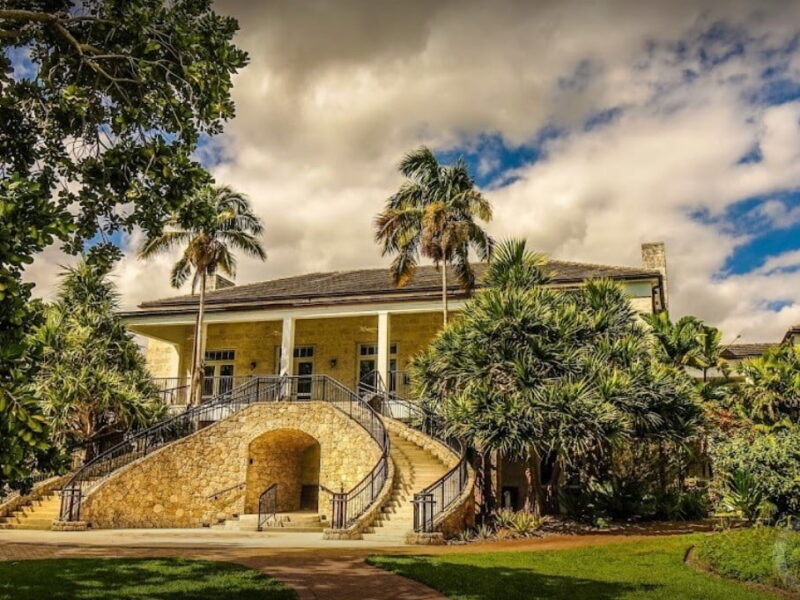 Tropical Miami Paradise Botanical Beauty