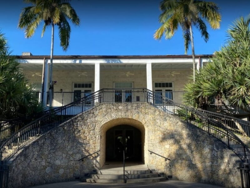 Tropical Miami Paradise Botanical Beauty