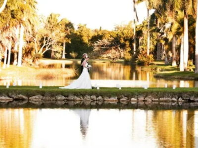 Tropical Miami Paradise Botanical Beauty