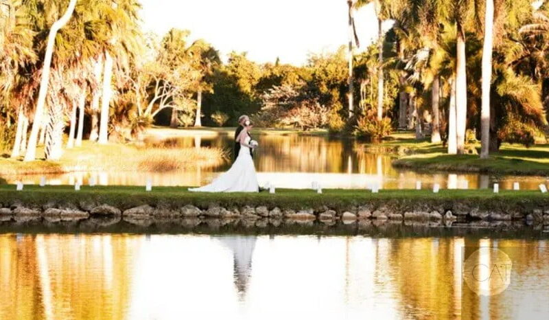 Tropical Miami Paradise Botanical Beauty