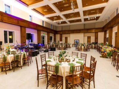 Tropical Miami Paradise Botanical Beauty