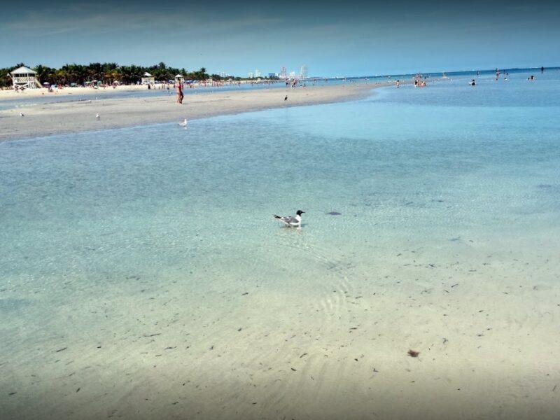 Tropical Public Beach Wide