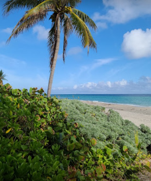 Non Developed Secluded Public Beach
