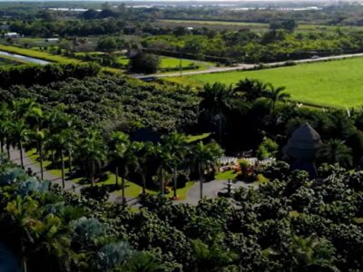 Miami Tropical Wedding Venue