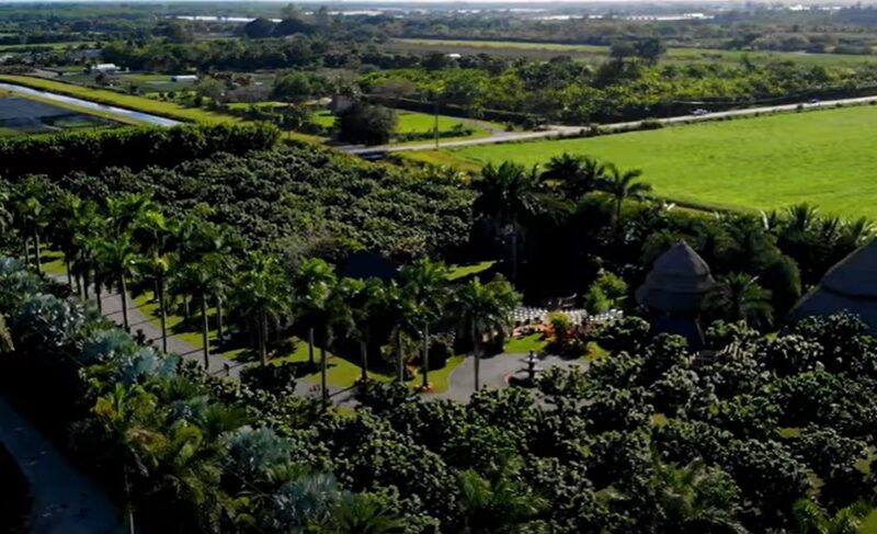Miami Tropical Wedding Venue