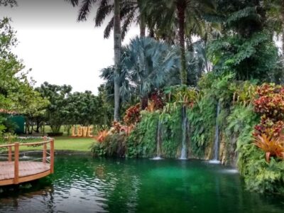 Miami Tropical Wedding Venue