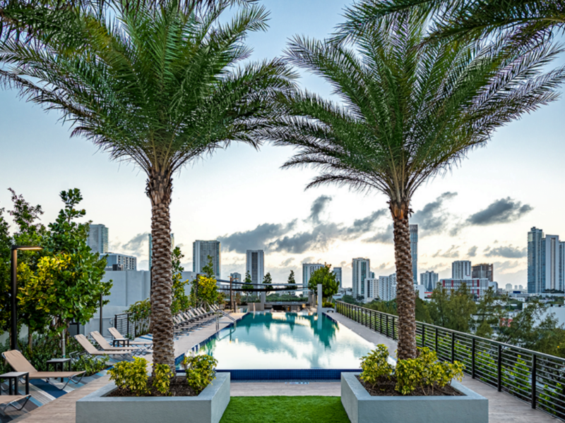 Rooftop loft Spectacular View