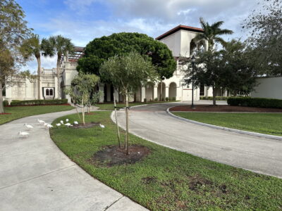Mediterranean Lakeview 2 Story Courtyard