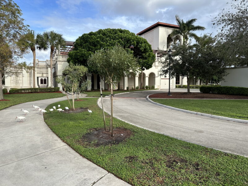 Mediterranean Lakeview 2 Story Courtyard