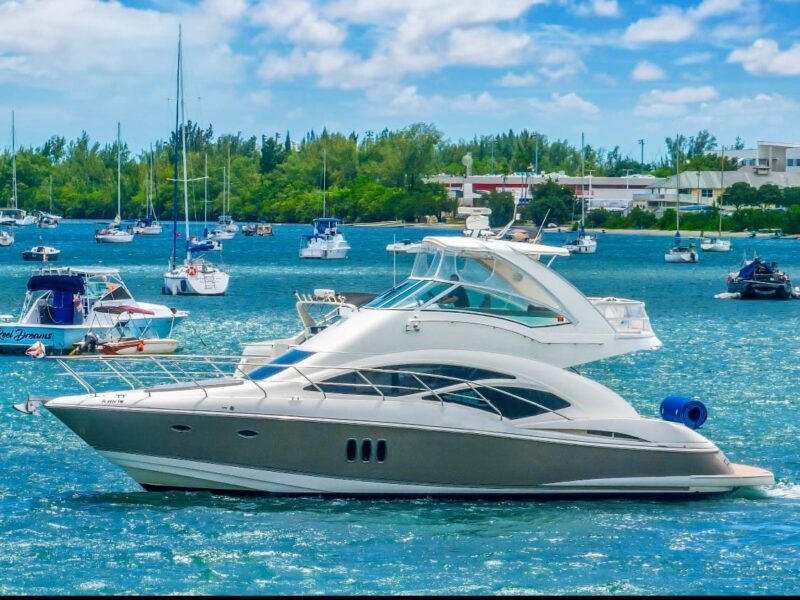 Remedy S. Cruiser 48’ fly bridge