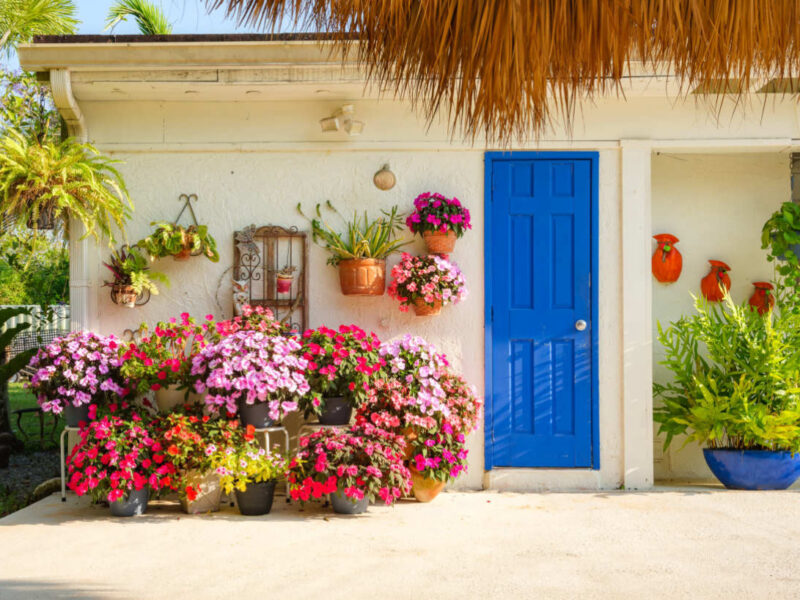 Huge Land Lagoon Cottage